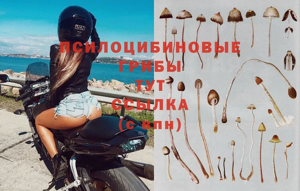 мдма Кодинск
