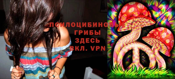 не бодяженный Каменка