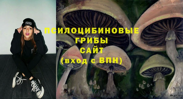 кокс Кинешма