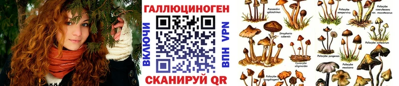 Галлюциногенные грибы Psilocybe  Купить закладки  Кораблино 